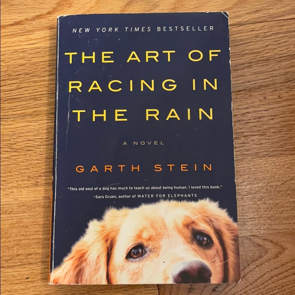 The Art of Racing in the Rain